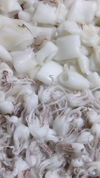 Mediterranean Squid Rings and Tentacles – IQF