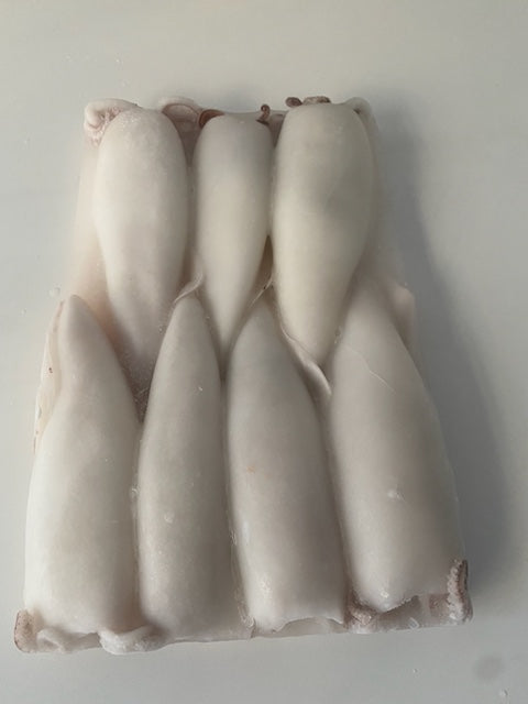 Calamaro Thai Pulito U/5 congelato 6x1kg