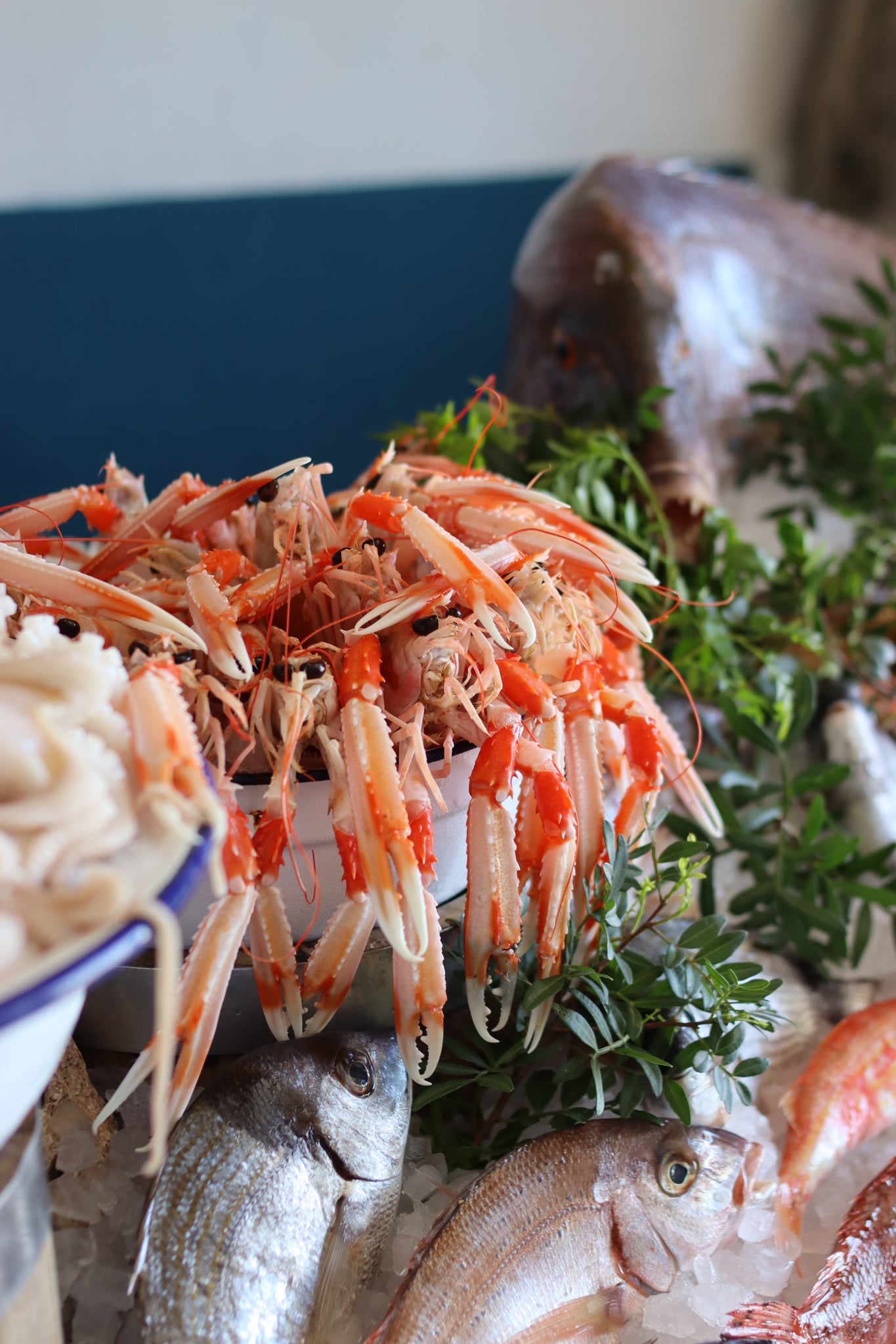 Frozen Mediterranean Scampi (Langoustine)