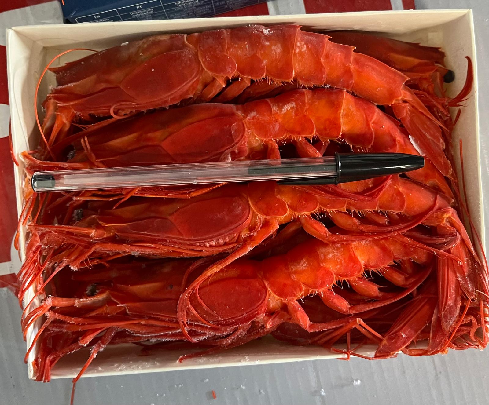 Gambero carabineros congelato, 10 pz 400 g.
