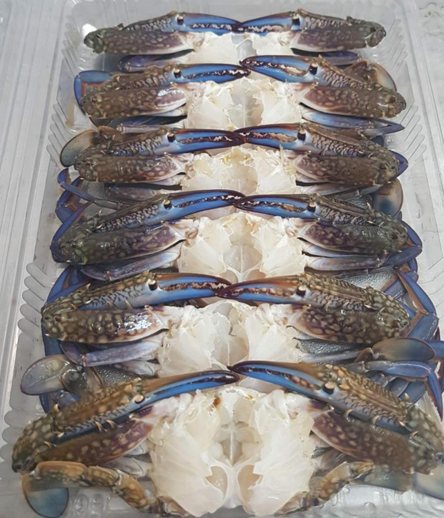 Mediterranean Blue Crab – Halved