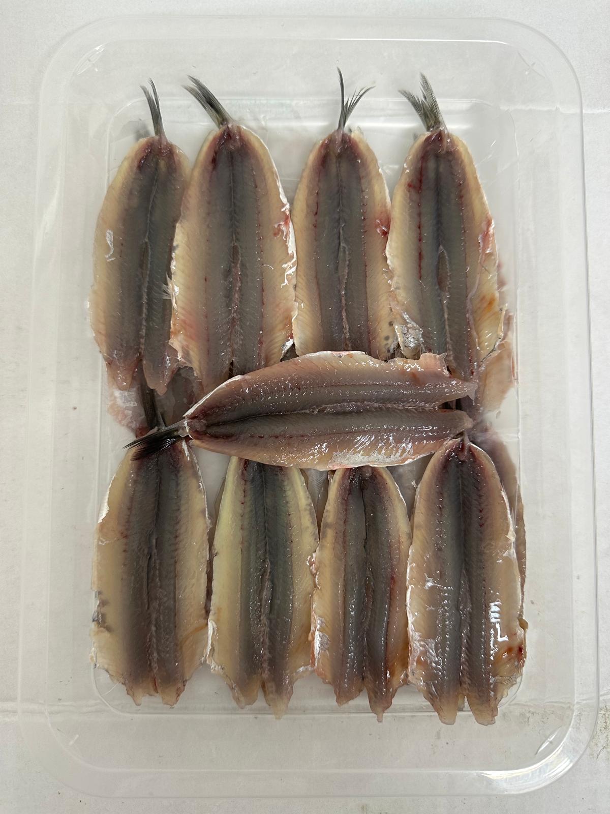 Mediterranean Anchovies in a Tray