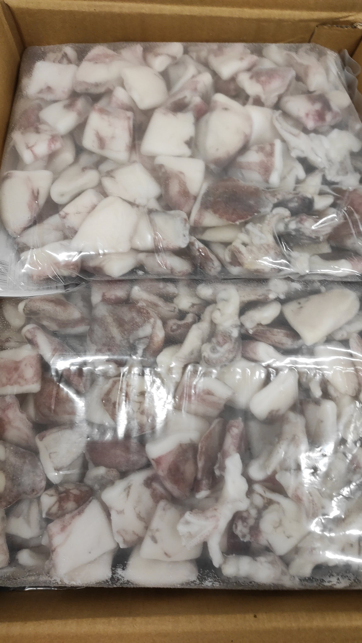 Anelli e ciuffi di Calamari Indopacifico congelati crudi 20/40 IQF 10X1kg