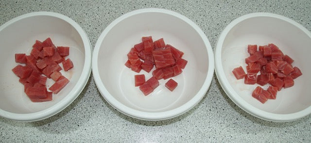 Cubetti di tonno obeso congelati per poke