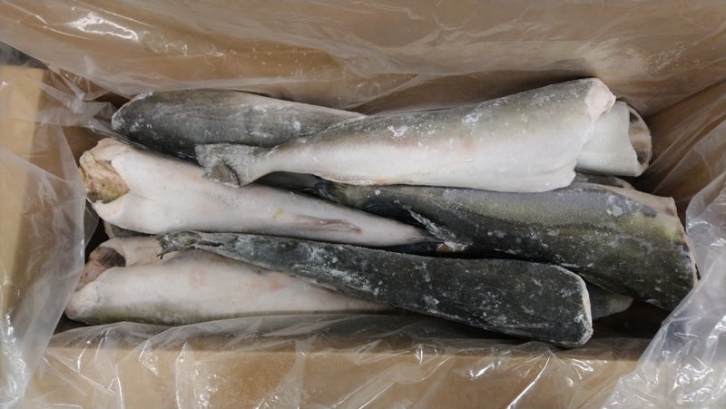 Carbonaro (Black Cod) Gindara H&G, congelato da 5-7lb