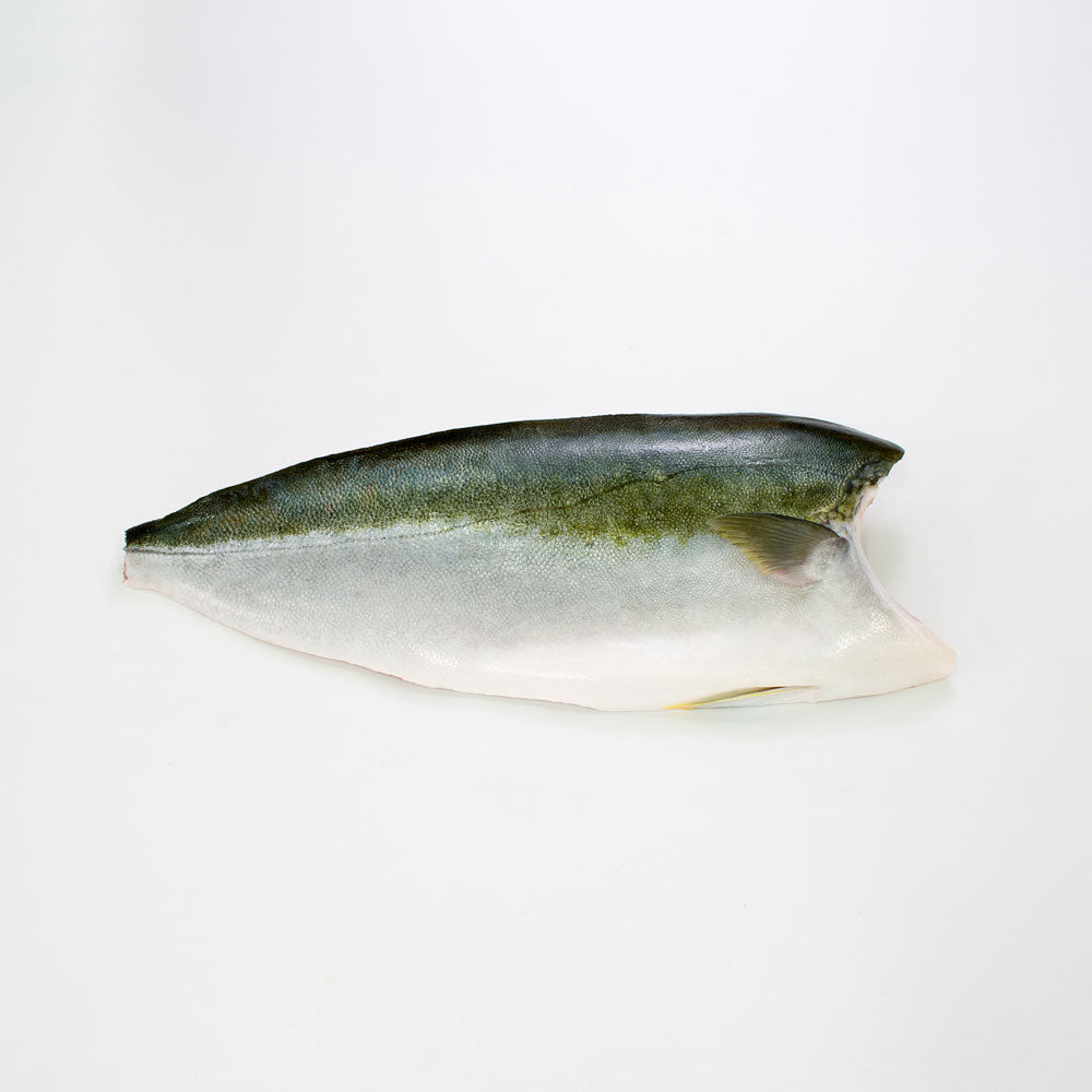 Filetto di ricciola Hiramasa Kingfish congelato SF da 1,3kg