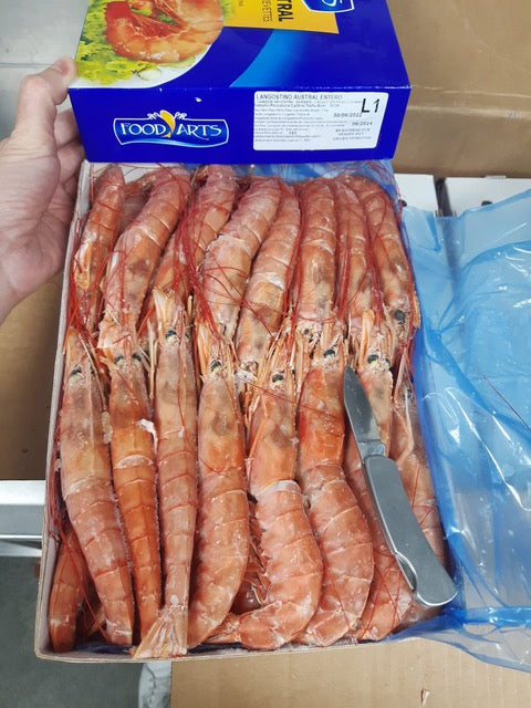 Pallet Gambero argentino L1 , congelato (da 10-20 pz/kg)