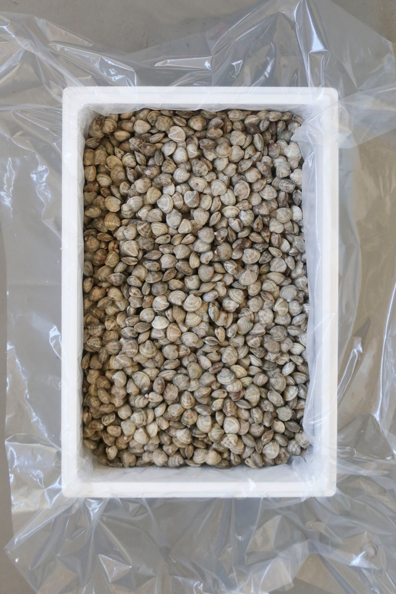 Vongole Lupino Adriatico Confezione da 400 g