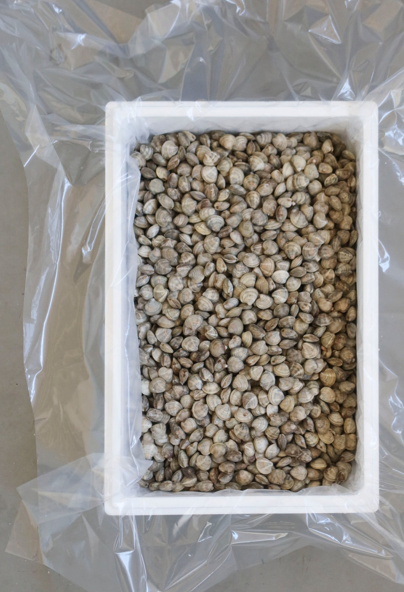 Vongole Lupino Adriatico Confezione da 400 g