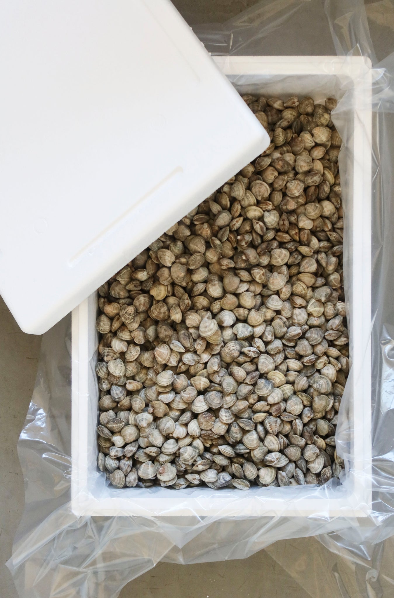 Vongole Lupino Adriatico Confezione da 400 g