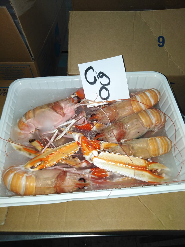 Scampi del Mediterraneo congelati (40-60 pz/kg)
