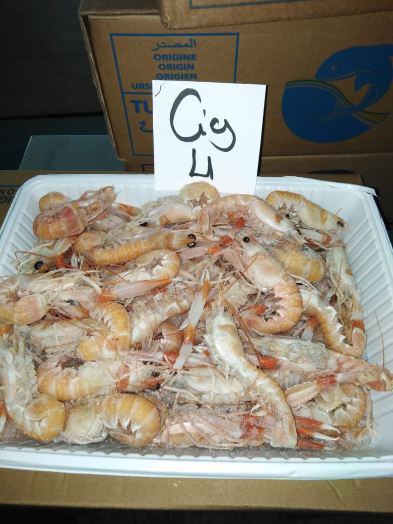 Scampi del Mediterraneo congelati (40-60 pz/kg)