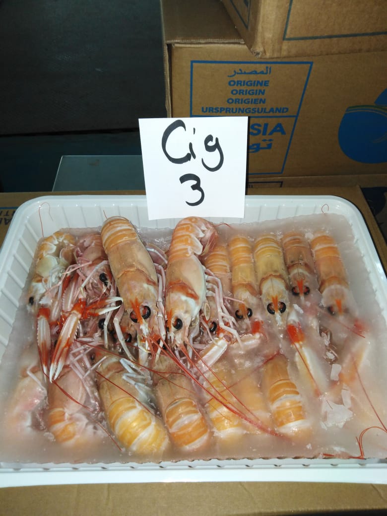 Scampi del Mediterraneo congelati (40-60 pz/kg)
