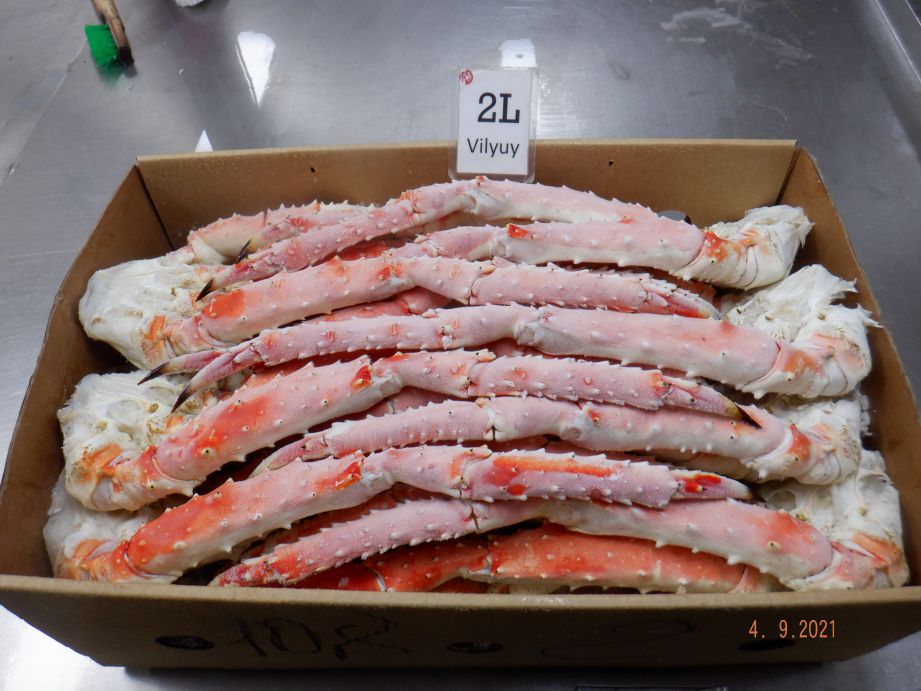 Chele di Granchio Reale (king Crab) 1000/1300 cotte e congelate