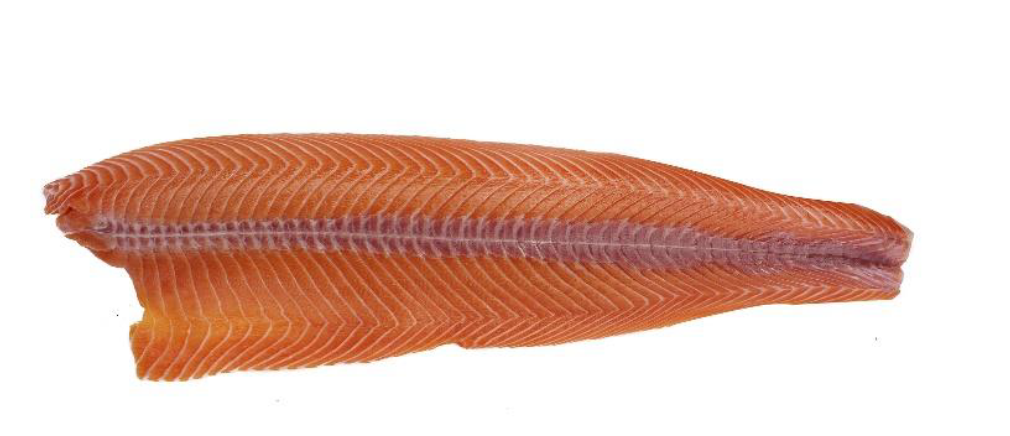 Filetto di salmone allevato in Cile, taglio Trim E, congelato da 1,4-1,8kg