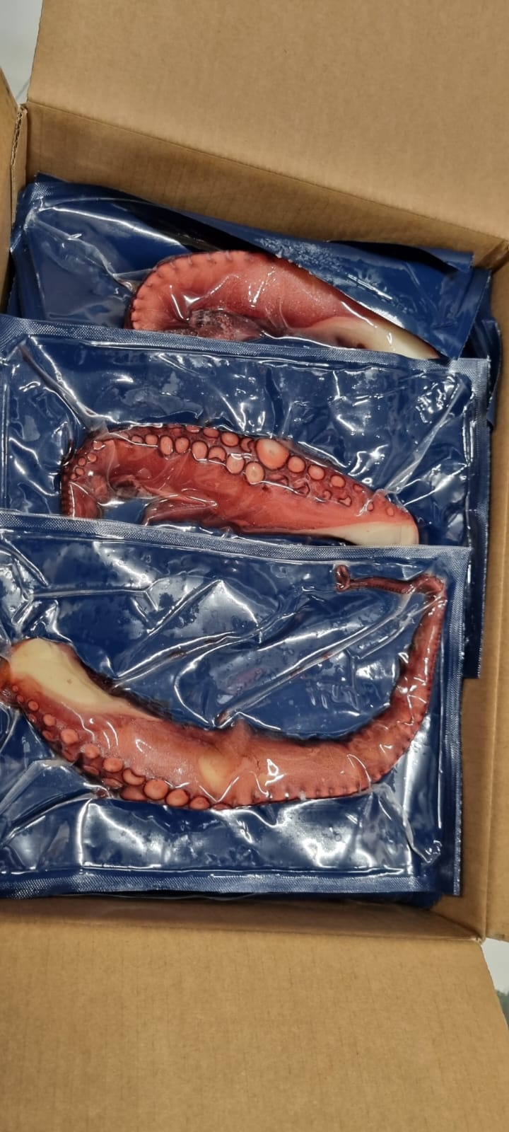 Tentacolo di polpo cotto sottovuoto, congelato 200/250 gr