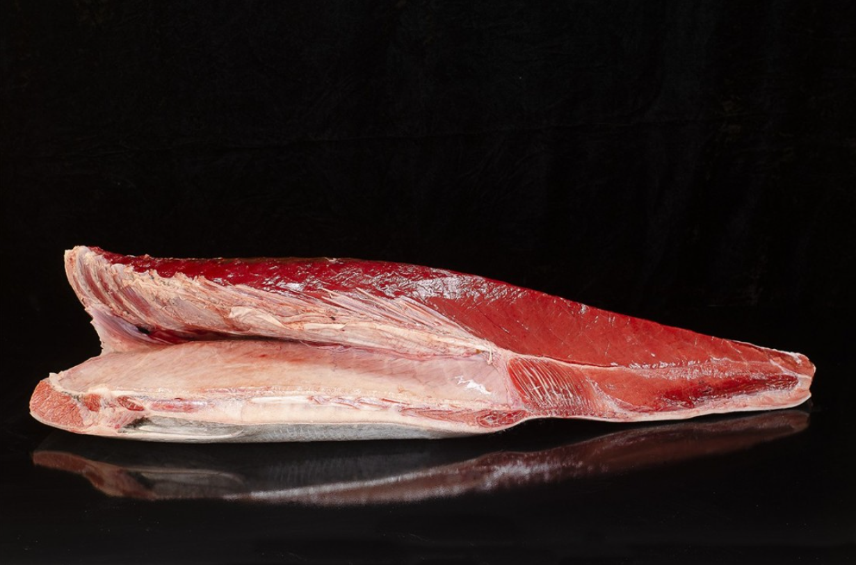 Filone di tonno rosso fresco, lomo basso da 6-8kg
