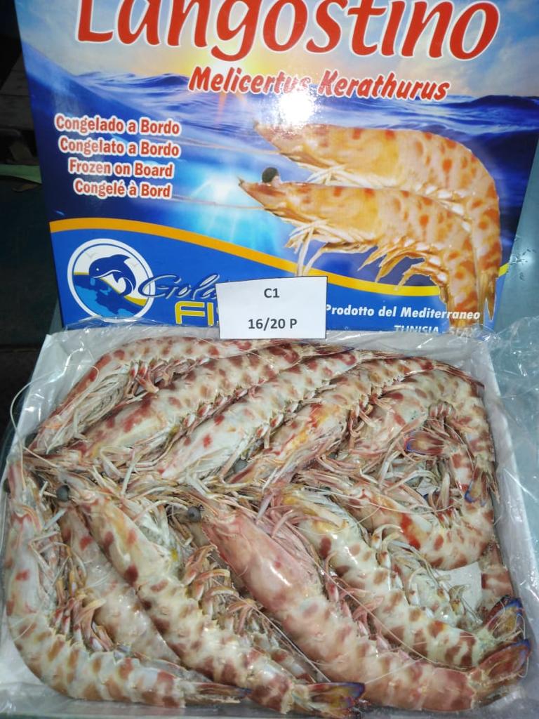 Mazzancolle Tunisia C1 16/20 pz/Kg